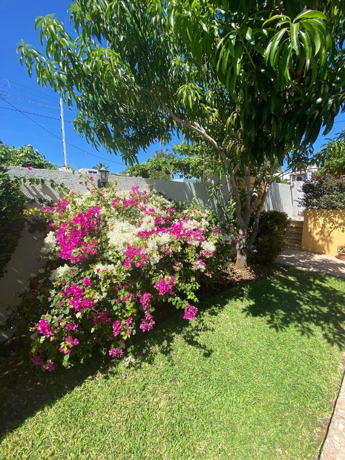 Zandoyo Bed & Breakfast Puerto Escondido  Exterior photo