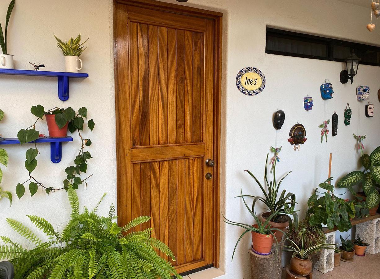 Zandoyo Bed & Breakfast Puerto Escondido  Exterior photo
